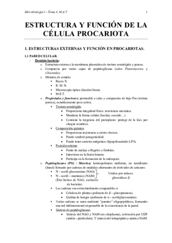 Tema-4-Estructura-y-funcion-de-la-celula-procariota.pdf