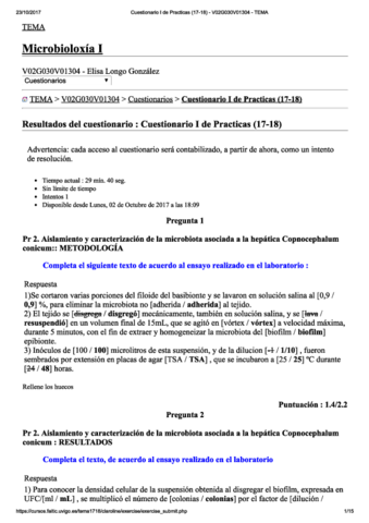 Cuestionario-I-de-Practicas-17-18-V02G030V01304-TEMA.pdf