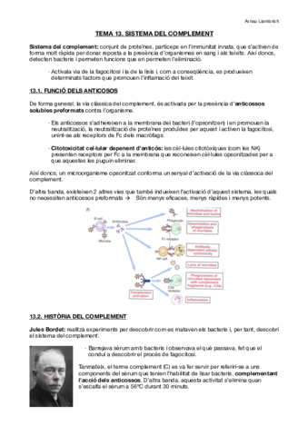Apunts-Immunologia-Tema-13.pdf