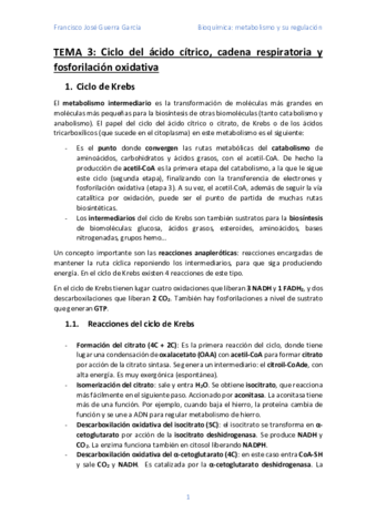 Tema-3.pdf