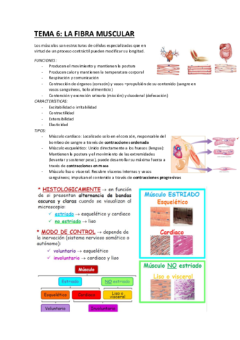 TEMA-6.pdf