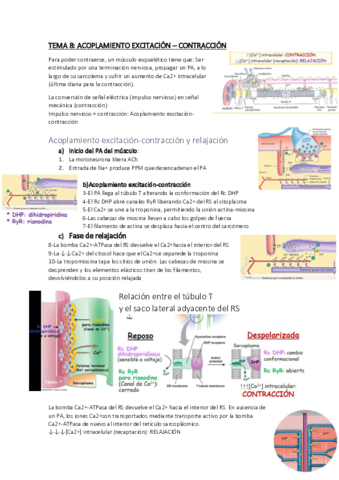 TEMA-8.pdf