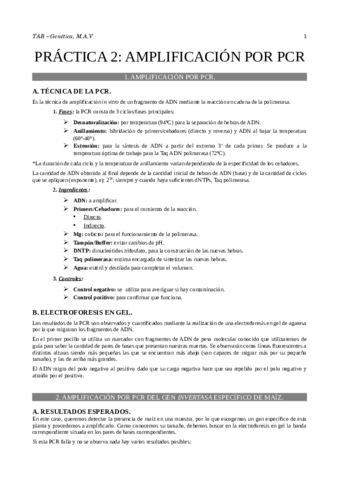 Practica-2-Amplificacion-por-PCR.pdf
