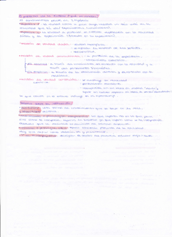 tema-1-fundamentos-cara-2.pdf