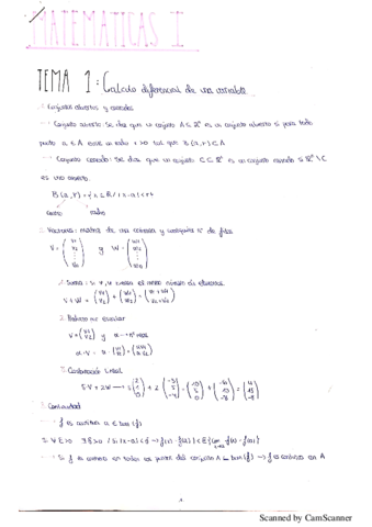 Tema-1-Matematicas-I.pdf