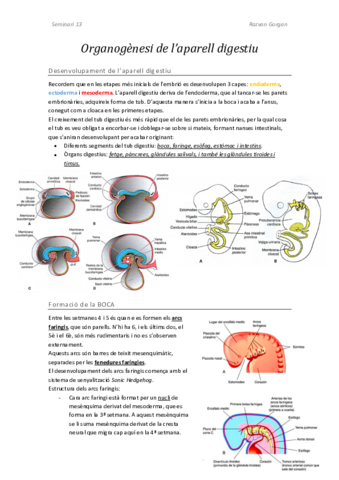 Embriologia-Digestiu.pdf