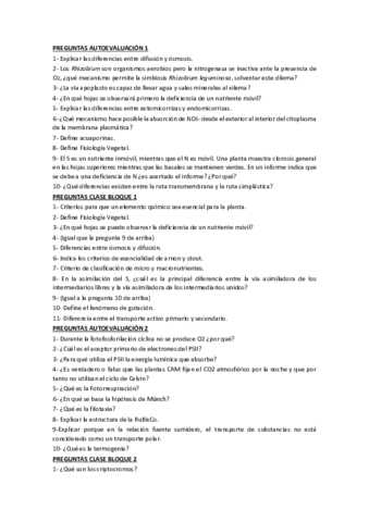 Preguntas-autoevaluaciones--clase.pdf