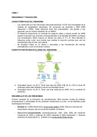 BIOLOGIA-TEMA-7.pdf