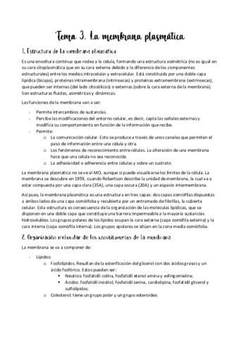 Tema-3.pdf