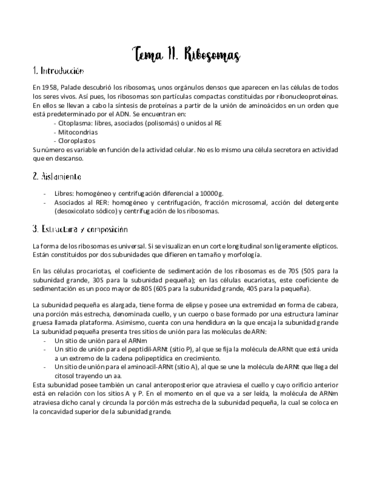 Tema-11.pdf