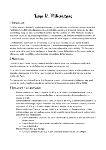 Tema-12.pdf