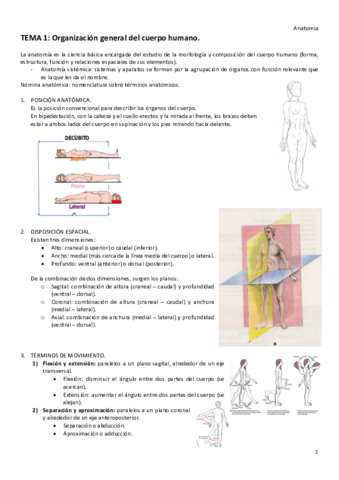 T1-ANATOMIA.pdf