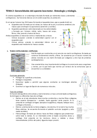 T2-ANATOMIA.pdf