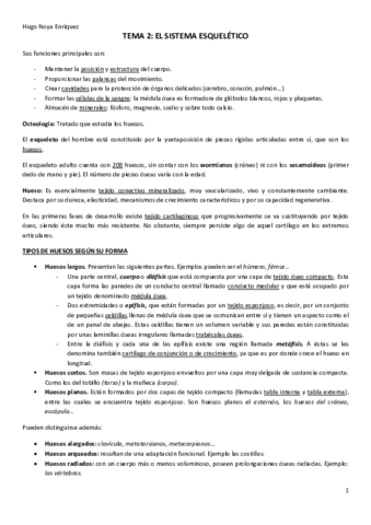 TEMA-2.pdf