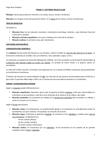 TEMA-4.pdf
