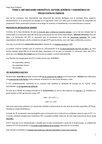 TEMA-5.pdf