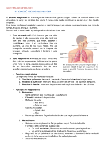 respiratori-apunts.pdf