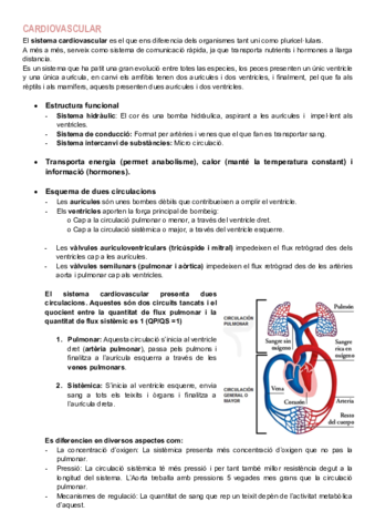 Fisiologia-cardiovascular.pdf