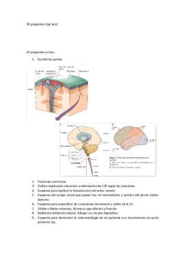 EXAMEN - FINAL (1).pdf