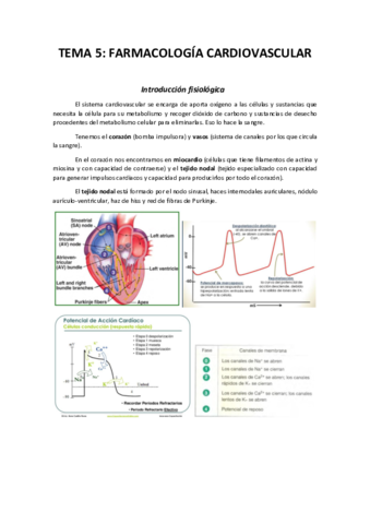 Tema-5.pdf