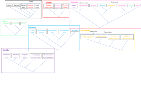 CLADOGRAMAS-ZOOLOGIA.pdf
