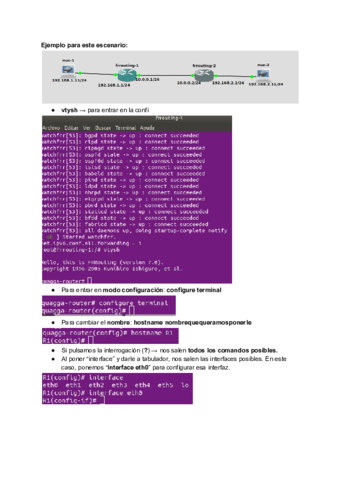 Comandos-FRRouting-y-PASOS-a-seguir-para-configurarlo.pdf