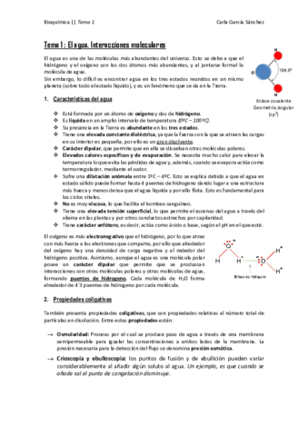 Temas-1-5-I.pdf