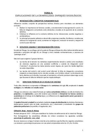 Tema-5-teorias-criminologicas.pdf