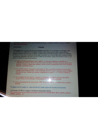 Segundo Parcial Biosintesis.pdf