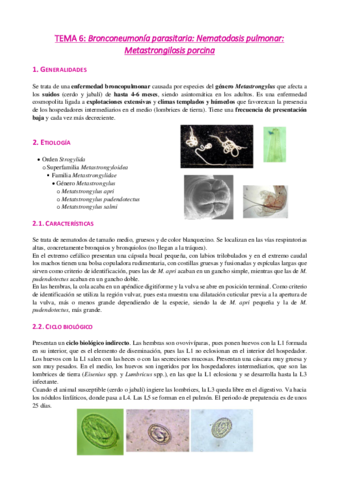 Tema-6-Metastrongilidosis-porcina.pdf