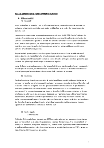apuntes-civil-I.pdf