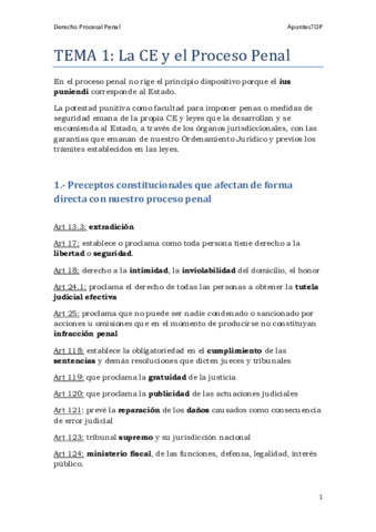 TEMARIO-DEFINITIVO-JUNTO.pdf