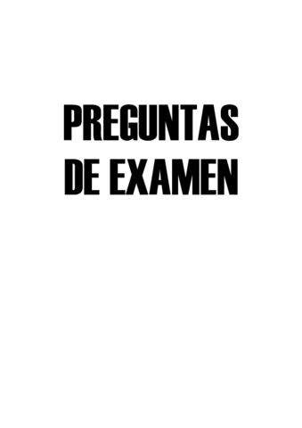 PREGUNTAS.pdf