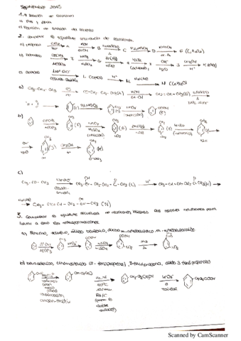 Muestra-2019-11-13-2.pdf