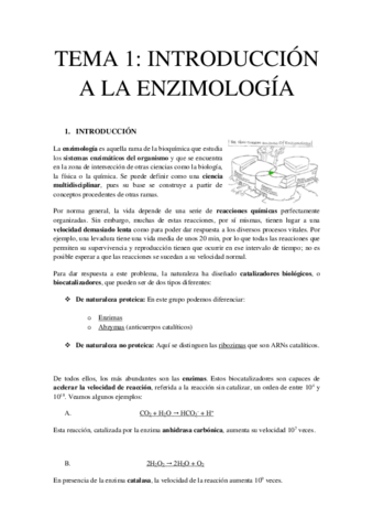 TEMA-1-INTRODUCCION-A-LA-ENZIMOLOGIA.pdf