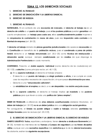 TEMA-12-Derecho-Constitucional-III.pdf