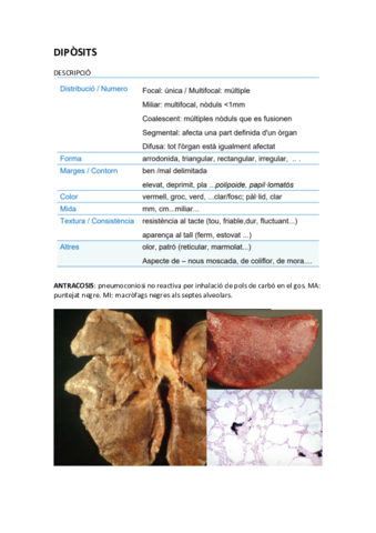 PRACTIQUES-DIPOSITS.pdf
