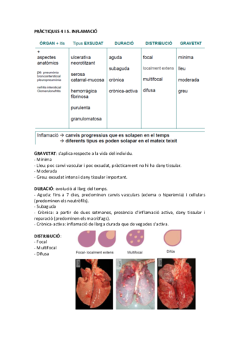 PRACTIQUES-INFLAMACIO.pdf