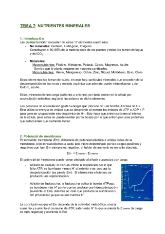 TEMA-7-NUTRIENTES-MINERALES.pdf
