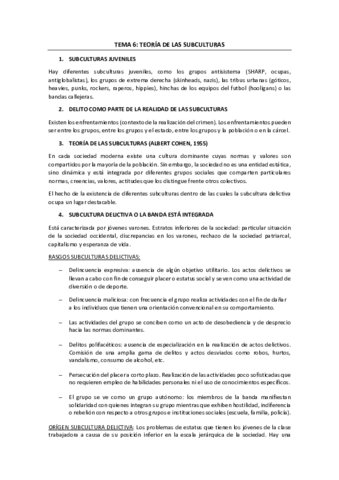 TEMA-6-teoria-de-las-subculturas.pdf