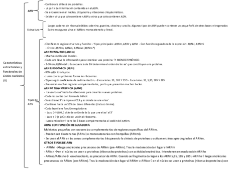 tema-2-parte-2-ARN.pdf