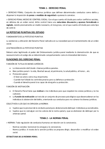 DERECHO-PENAL-RESUMENES.pdf