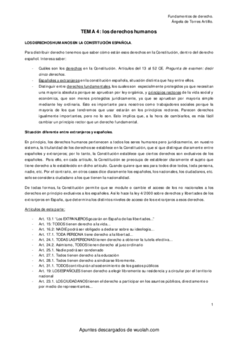 TEMA-4-FUNDERE.pdf