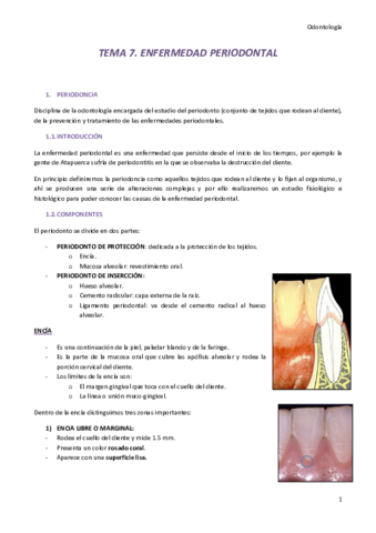 TEMA 7. Enfermedad Periodontal.pdf