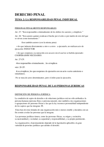 DERECHO-PENAL-TEMA-2.pdf