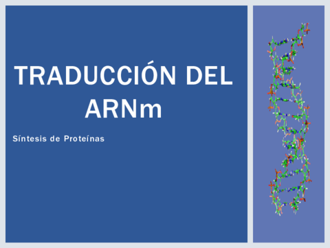 Traduccion-del-ARNm-1.pdf