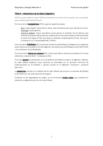 LIPIDOS-NACHO-CORREGIDO.pdf