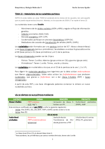 NUCLEOTIDOS-NACHO-CORREGIDO.pdf