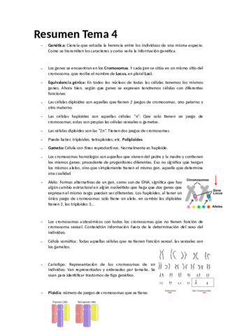 Biologia-Tema-4.pdf