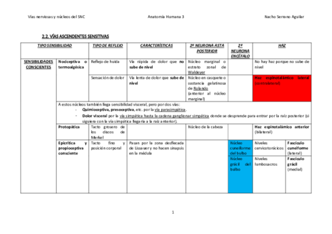 Vias-nerviosas.pdf